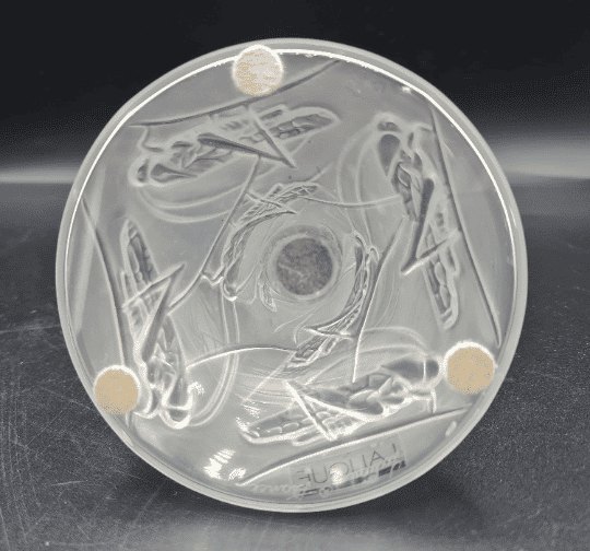 Lalique Ornate Glass Art Bud Vase - Image 5