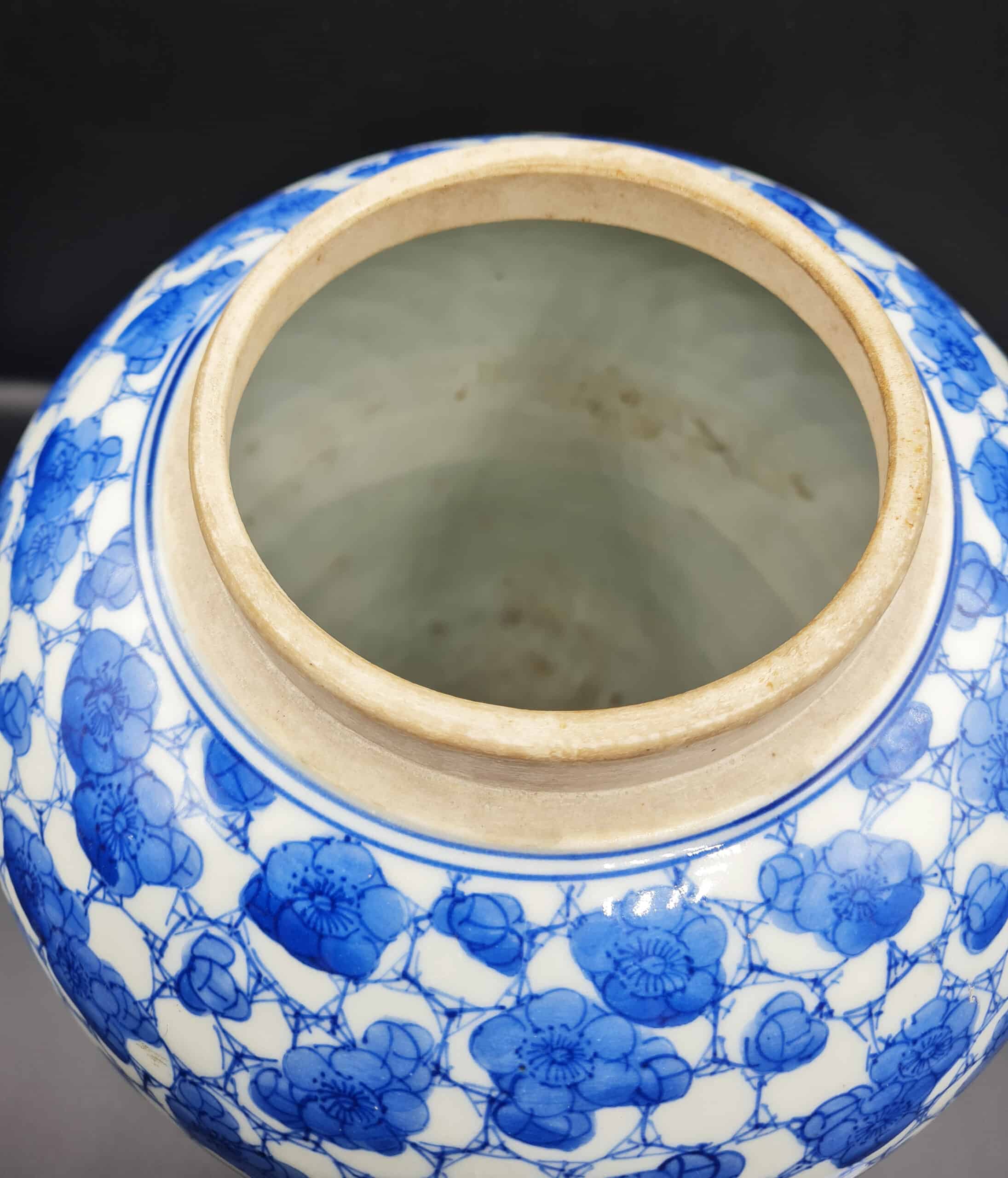 Antique Large Chinese Blue & White Prunus Ovoid Ginger Jar - Image 7